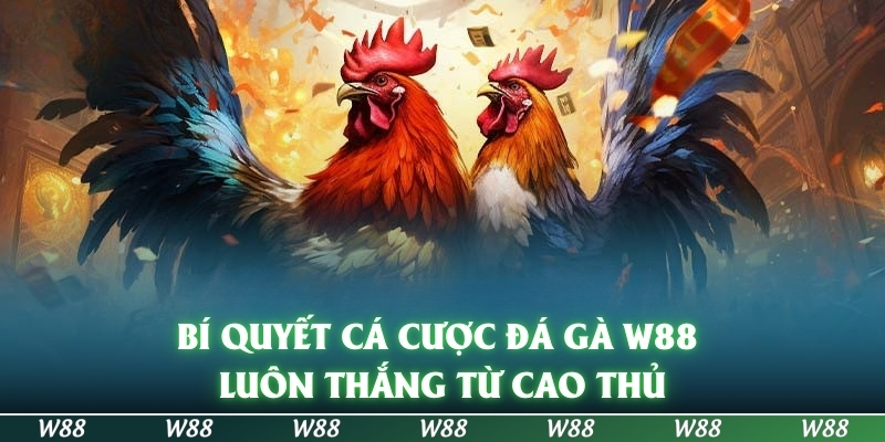 Đá gà W88